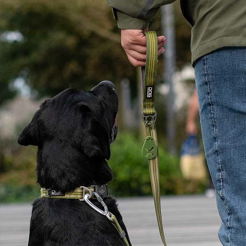 Dog Copenhagen Leine Führleine Urban Freestyle V3 Lemon gelb S