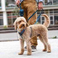 Dog Copenhagen Walk Harness Air Geschirr V3  Desert Dune beige L
