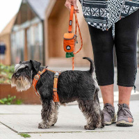 Dog Copenhagen Walk Harness Air Geschirr V3  Desert Dune beige L