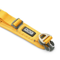 Dog Copenhagen Halsband Urban Explorer V3 Lemon gelb XS