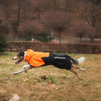 Non-stop Dogwear toller Regenmantel FJORD 2.0 schwarz orange Größe 80