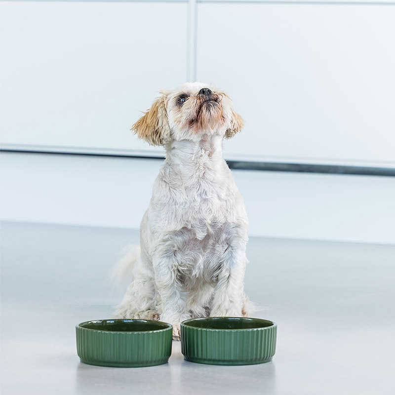 Dog Copenhagen Kronborg Bowl Futternapf Wassernapf