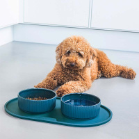 Dog Copenhagen Kronborg Bowl Futternapf Wassernapf Caffe-latte M