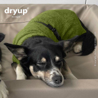 DryUp Trocken Cape Hundebademantel BAMBOO MINI  für kleine Hunde in Avocado grün 30cm Rückenlänge