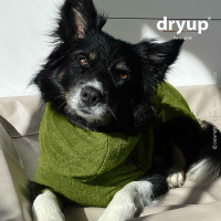 DryUp Trocken Cape Hundebademantel BAMBOO MINI  für kleine Hunde in Avocado grün 35cm Rückenlänge