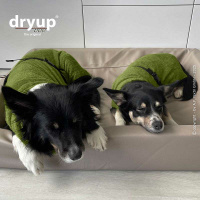 DryUp Trocken Cape Hundebademantel BAMBOO MINI  für kleine Hunde in Avocado grün 40cm Rückenlänge