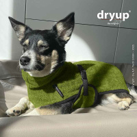 DryUp Trocken Cape Hundebademantel BAMBOO MINI  für kleine Hunde in Avocado grün 45cm Rückenlänge