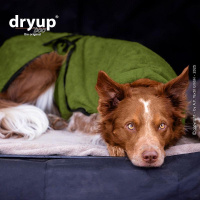 DryUp Trocken Cape Hundebademantel BAMBOO STANDARD  in Avocado grün XL 70cm