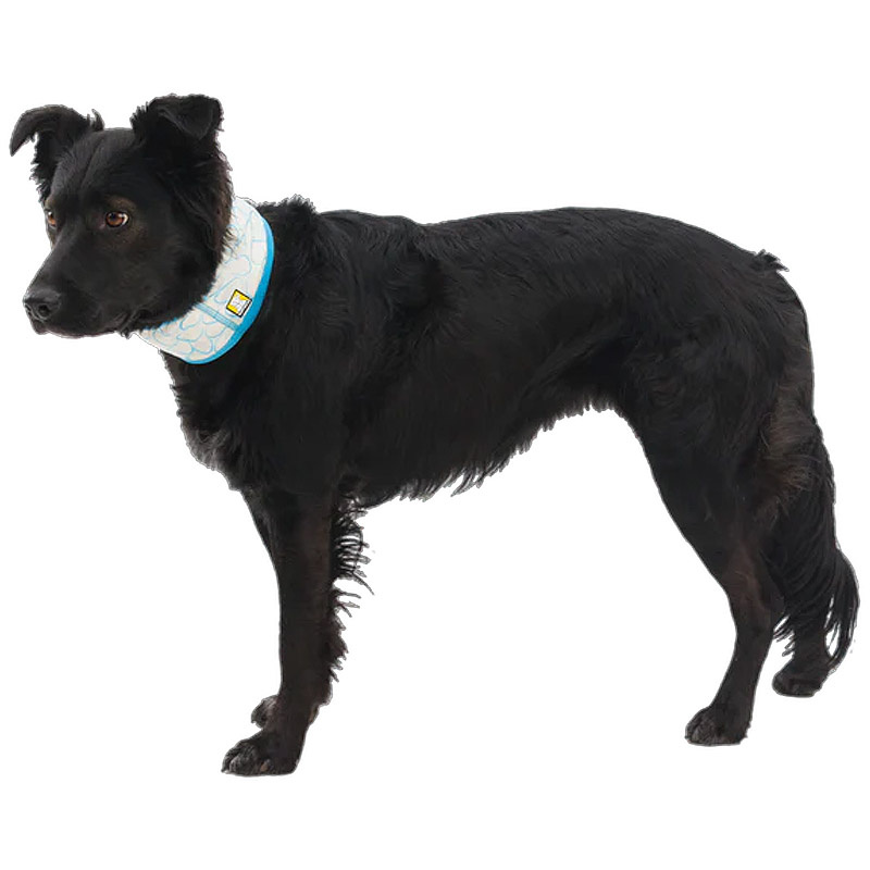 RUFFWEAR Kühlhalstuch Swamp Cooler Übersicht