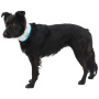 RUFFWEAR Kühlhalstuch Swamp Cooler Übersicht