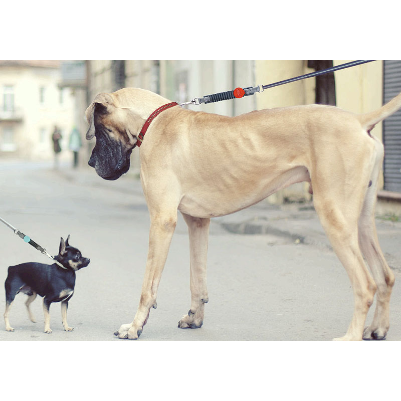 WAW Ruckdämpfer Easy Dog Walk für Hundeleinen orange L | 16-25KG