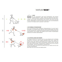 WAW Ruckdämpfer Easy Dog Walk für Hundeleinen orange XL | 26-40KG