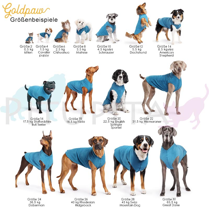 Goldpaw Sun Suit UV Overall mit Beinen Sonnenschutz LSF 50+ Gesamtübersicht