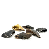 Ziegenhufe nat&uuml;rlicher Kausnack f&uuml;r Hunde