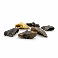 Ziegenhufe natürlicher Kausnack für Hunde 10 Stk