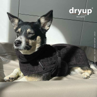 DryUp Trocken Cape Hundebademantel BAMBOO MINI  für kleine Hunde in Dark Grey grau 30cm Rückenlänge