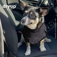 DryUp Trocken Cape Hundebademantel BAMBOO MINI  für kleine Hunde in Dark Grey grau 40cm Rückenlänge