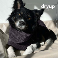 DryUp Trocken Cape Hundebademantel BAMBOO MINI  für kleine Hunde in Dark Grey grau 45cm Rückenlänge