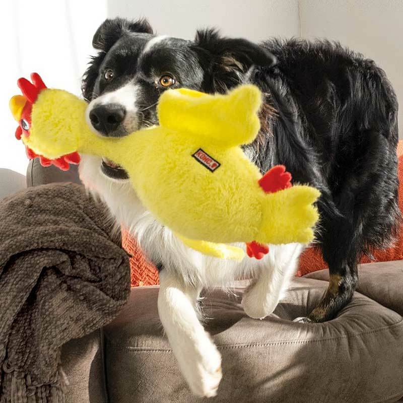 KONG Scruffs Chicken Huhn Kuscheltier