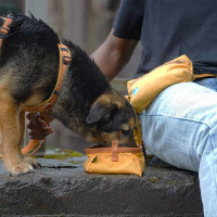 AnnyX Napf to go one Size