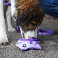 AnnyX Napf to go one Size