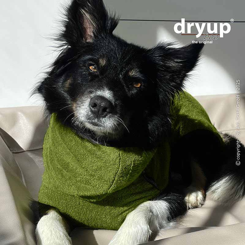 dryup Cape Mini Bamboo – Hundebademantel für kleine Hunde