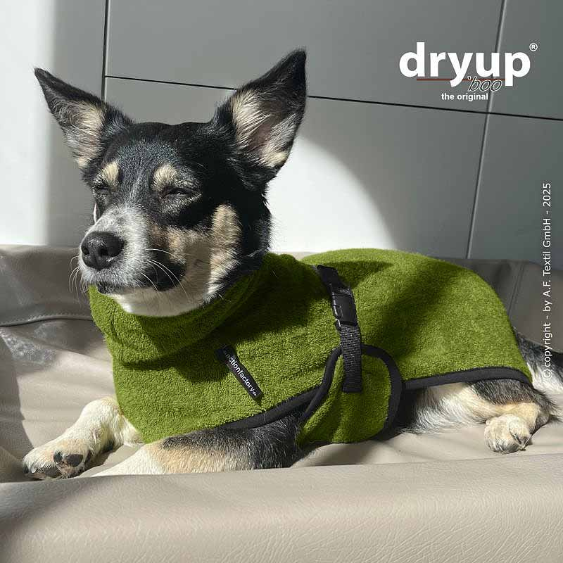 dryup Cape Mini Bamboo – Hundebademantel für kleine Hunde