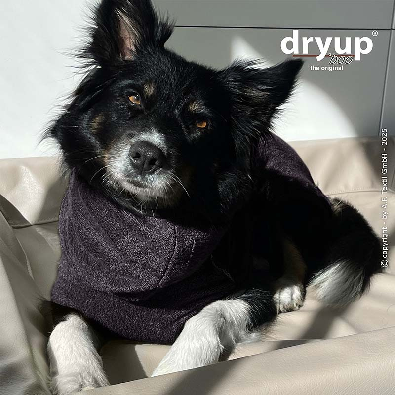 dryup Cape Mini Bamboo – Hundebademantel für kleine Hunde