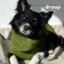 dryup Cape Mini Bamboo – Hundebademantel für kleine Hunde