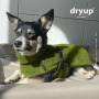 dryup Cape Mini Bamboo – Hundebademantel für kleine Hunde