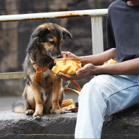 AnnyX Napf to go in Schwarz