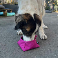 AnnyX Napf to go in Schwarz