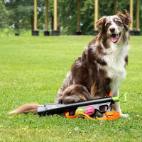 Dog Comets Comet Launcher - Ballkanone Apportierspiele
