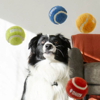 KONG Sport Softies der flauschige Tennisball Größe S 3 Stück