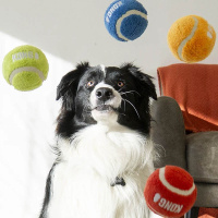 KONG Sport Softies der flauschige Tennisball Größe L 2 Stück