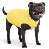 Goldpaw UV T-Shirt Sun Shield Tee Sonnenschutz LSF 50+ butter gelb 10