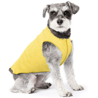 Goldpaw UV T-Shirt Sun Shield Tee Sonnenschutz LSF 50+ butter gelb 28