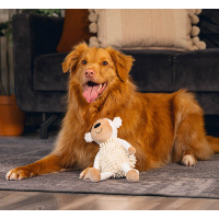 Beeztees Eco Kuschelfreunde Kuscheltier für Welpen