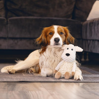 Beeztees Eco Kuschelfreunde Kuscheltier für Welpen Fuchs JUNO