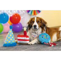 Beeztees Partyhut das Spielzeug für Geburtstag Birthday