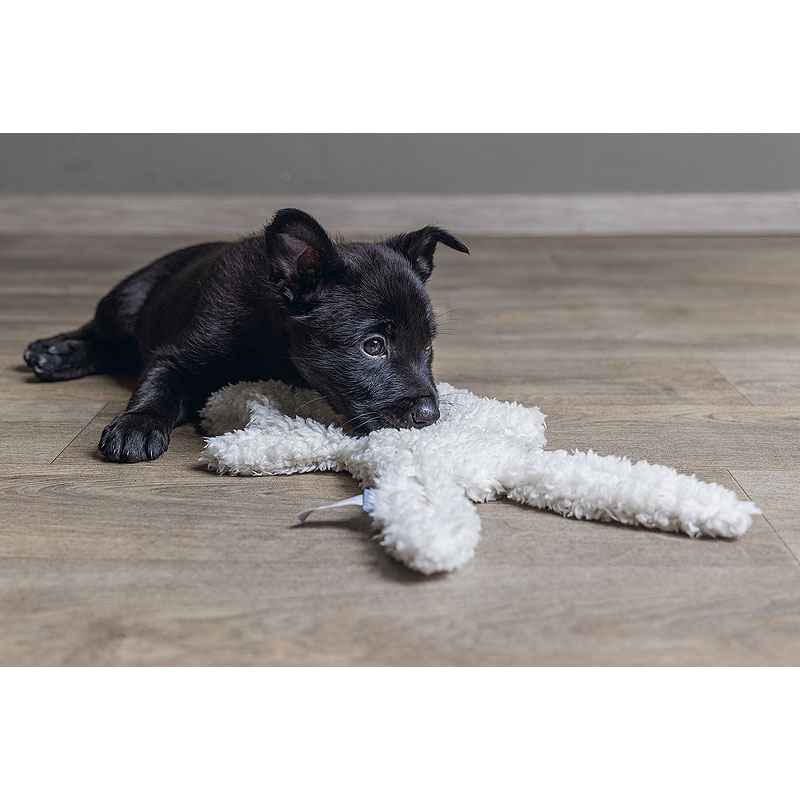 Beeztees Welpe Nijno Duftmatte & Kuschelfreund für deinen Welpen