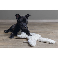 Beeztees Welpe Nijno Duftmatte & Kuschelfreund...