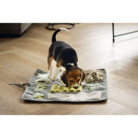 Beeztees Puppy Doeka Schnüffelmatte für Welpen