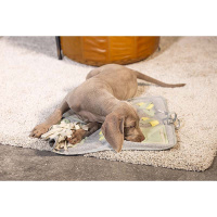 Beeztees Puppy Doeka Schnüffelmatte für Welpen