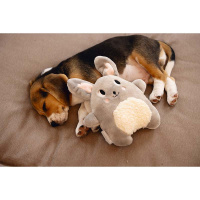 Beeztees Puppy Hase Snoet dein Kuschelfreund