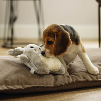 Beeztees Puppy Hase Snoet dein Kuschelfreund