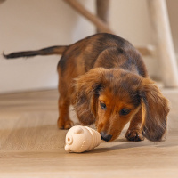 Beeztees Sumo Mini Play Spielspaß und Zahnpflege für Welpen