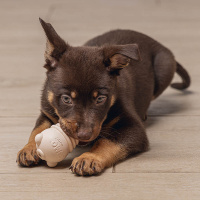 Beeztees Sumo Mini Play Spielspaß und Zahnpflege für Welpen rosa