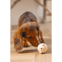 Beeztees Sumo Mini Play Spielspaß und Zahnpflege für Welpen rosa