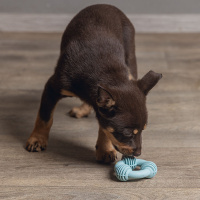Beeztees Welpe Dental Ring Kauspielzeug für die Zähne